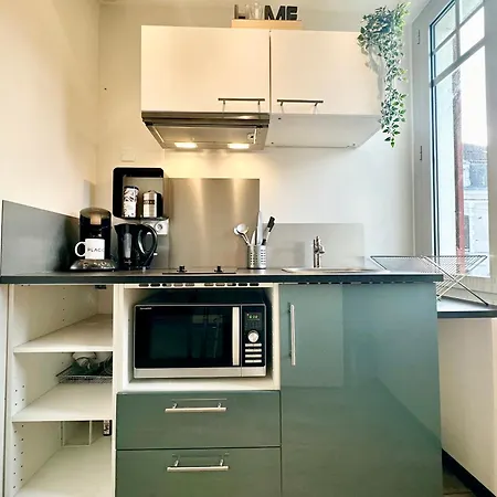 Le Saint Roch - Hyper Centre - Clim - Cosy - Renove Apartment Mont-de-Marsan