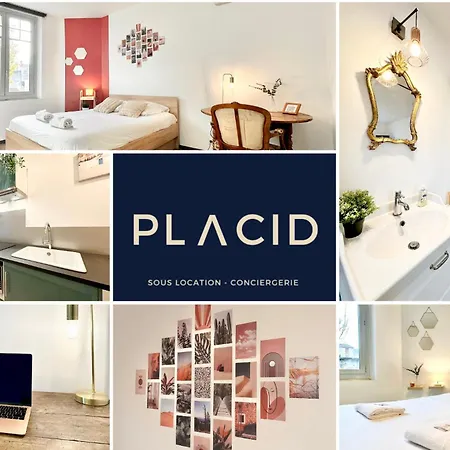 Le Saint Roch - Hyper Centre - Clim - Cosy - Renove Apartment