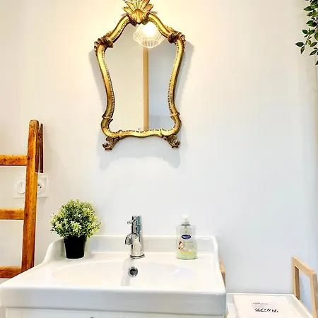 Apartment Le Saint Roch - Hyper Centre - Clim - Cosy - Renove Mont-de-Marsan