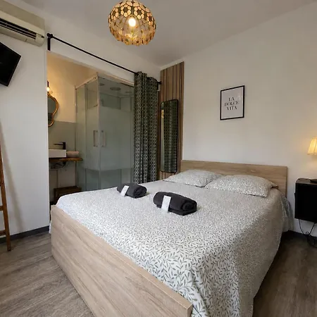 Le Saint Roch - Hyper Centre - Clim - Cosy - Renove Apartment Mont-de-Marsan