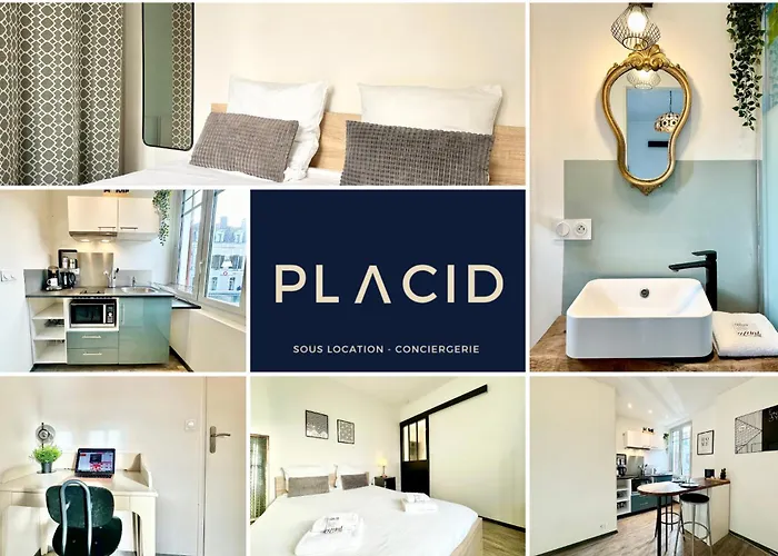 Le Saint Roch - Hyper Centre - Clim - Cosy - Renove Apartment