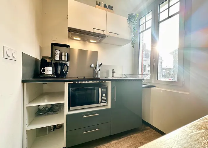 Le Saint Roch - Hyper Centre - Clim - Cosy - Renove * Mont-de-Marsan