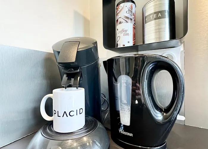 Apartment Le Saint Roch - Hyper Centre - Clim - Cosy - Renove Mont-de-Marsan