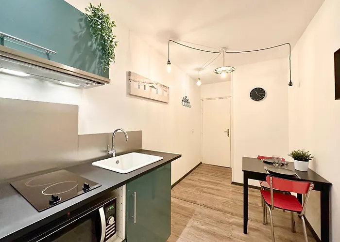 Le Saint Roch - Hyper Centre - Clim - Cosy - Renove Apartment Mont-de-Marsan