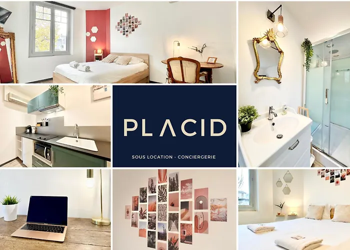 Le Saint Roch - Hyper Centre - Clim - Cosy - Renove Apartment