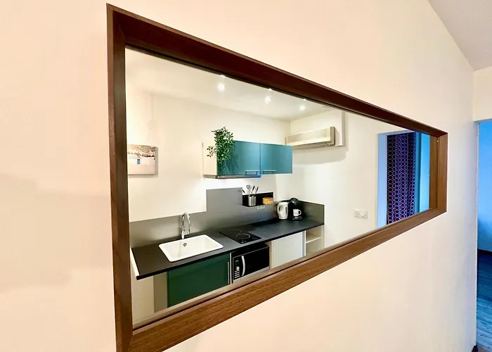 Apartman Le Saint Roch - Hyper Centre - Clim - Cosy - Renove *