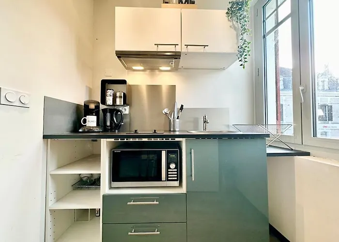 Le Saint Roch - Hyper Centre - Clim - Cosy - Renove Apartment Mont-de-Marsan