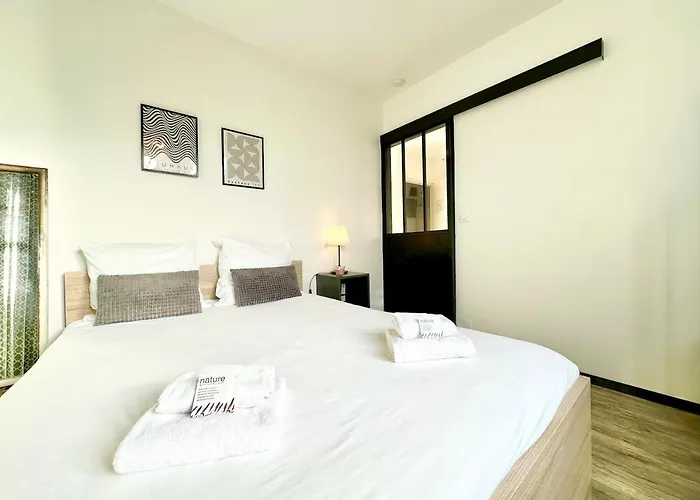 Apartman Le Saint Roch - Hyper Centre - Clim - Cosy - Renove Mont-de-Marsan