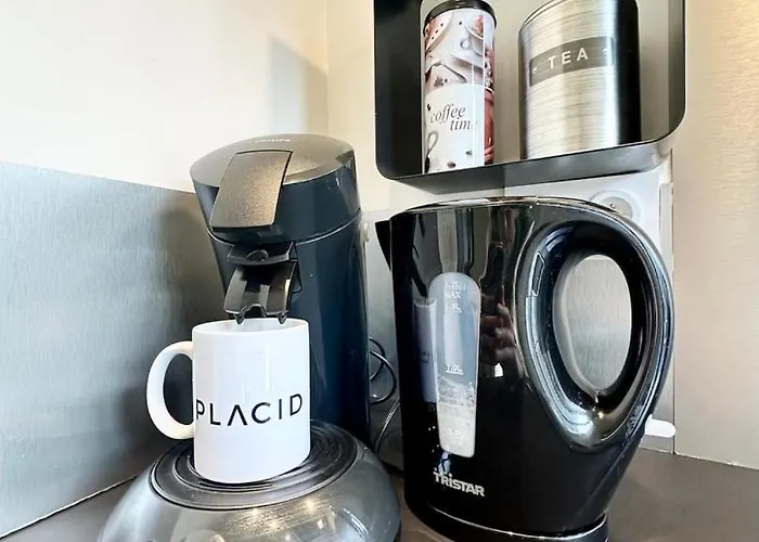 Le Saint Roch - Hyper Centre - Clim - Cosy - Renove Apartment Mont-de-Marsan